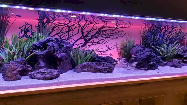 how to decorate aquarium with stones