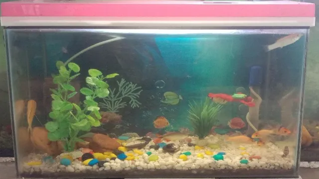 how to decorate aquarium without fish