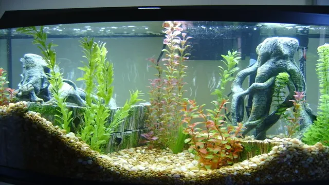 How to Decorate Aquarium Without Fish: Tips and Ideas for a Stunning Aquascape