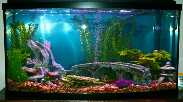 how to decorate fish aquarium