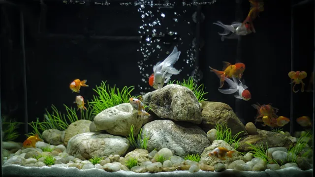 how to decorate goldfish aquarium