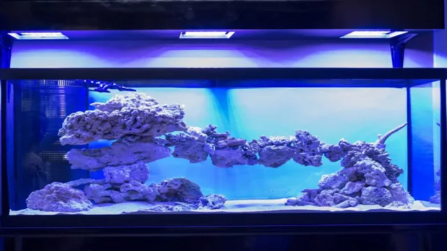 how to decorate saltwater aquarium