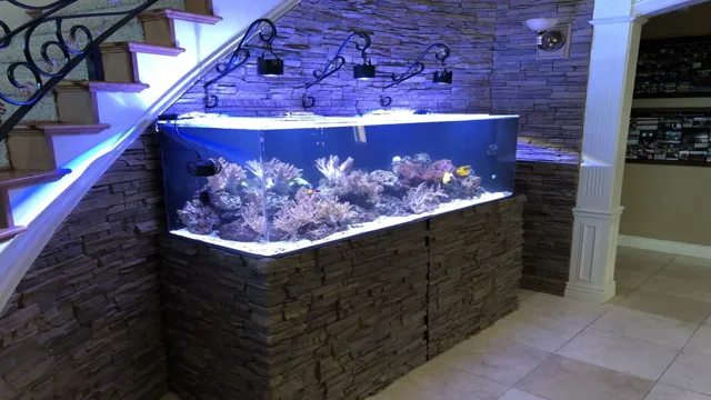 How to Decorate the Aquarium – Tips and Ideas for a Stunning Underwater Space