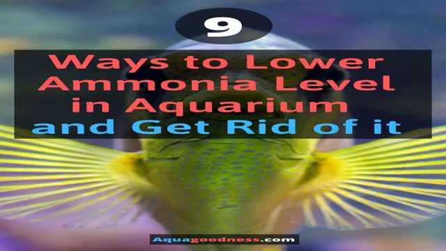 how to decrease ammonia in aquarium