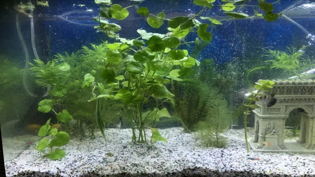 how to decrease carbonate hardness without increasing gh in aquarium