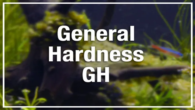 How to Decrease General Hardness in Aquarium and Improve Fish Health with These Simple Steps