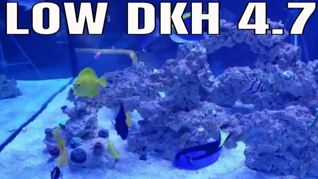 how to decrease kh in aquarium