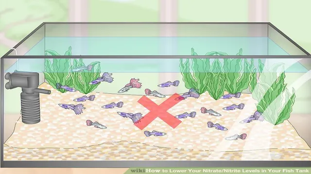 how to decrease nitrites in aquarium