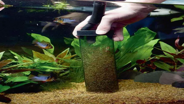 how to deep clean aquarium gravel