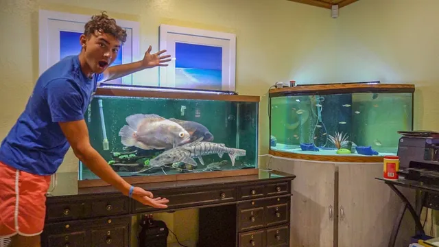 how to defeat alien fish in pocket aquarium
