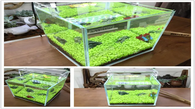 how to design a plnted aquarium from seeds