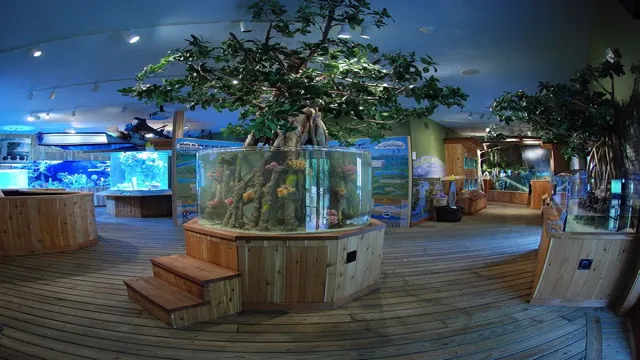 how to design a public aquarium