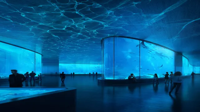 how to design an aquarium architecture