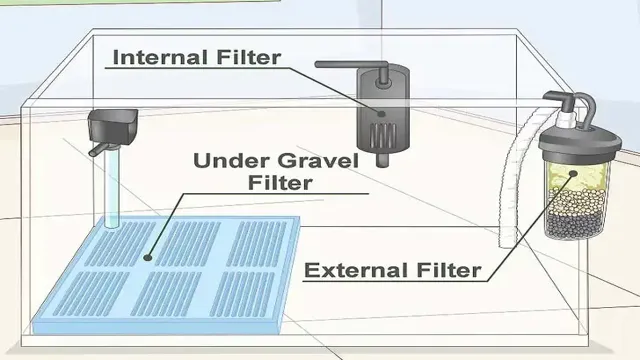 How to Design Aquarium Filter: A Step-by-Step Guide for Beginners