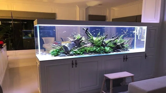 how to design aquarium for fish