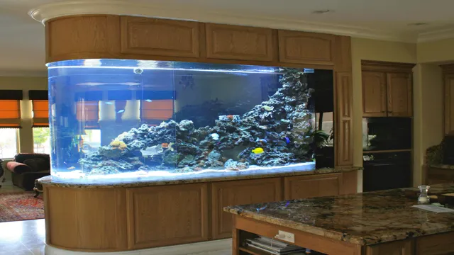 how to design aquarium in home