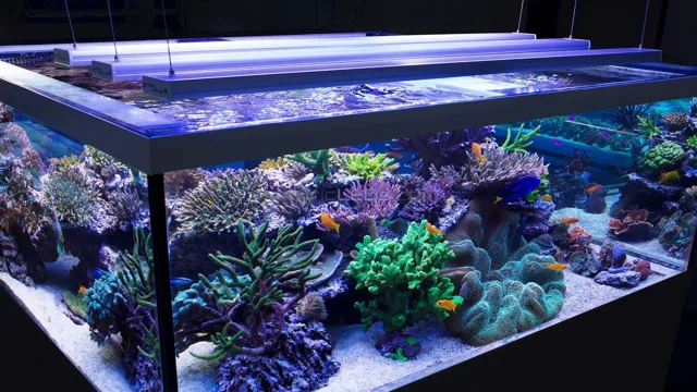 how to design aquarium lights