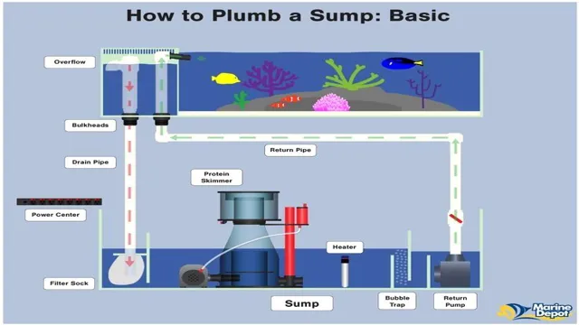 How to Design Freshwater Aquarium Sump Water Movement: Tips and Tricks