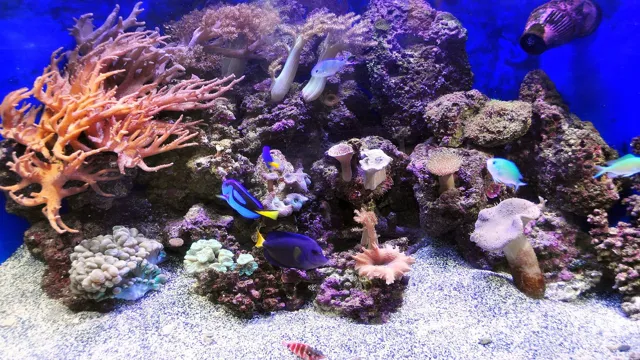 how to design live rock in aquarium