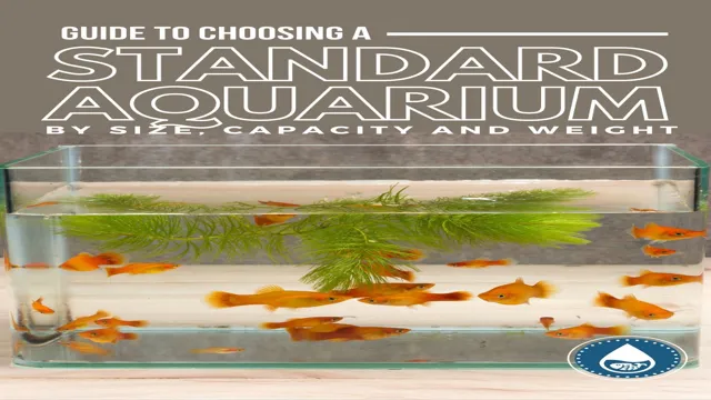 How to Determine Aquarium Capacity: Tips for Calculating Tank Size and Fish Population