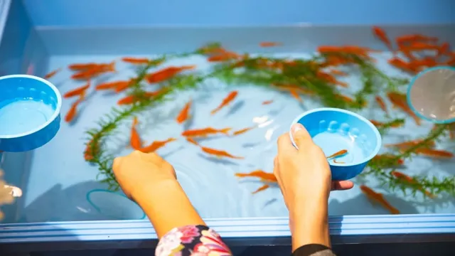 How to Determine If Your Aquarium Needs Resealing: Easy Tips and Tricks.