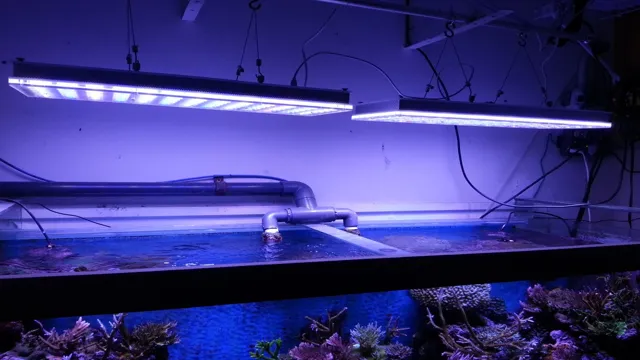 how to determine led light for aquarium