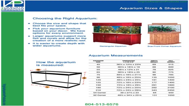 How to Determine Size of Aquarium: A Comprehensive Guide for Beginners