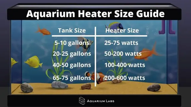 How to Determine the Wattage of Your Aquarium Heater: A Step-by-Step Guide for Accurate Heat Calculation