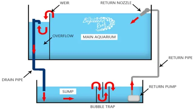 how to determine water level for aquarium sump