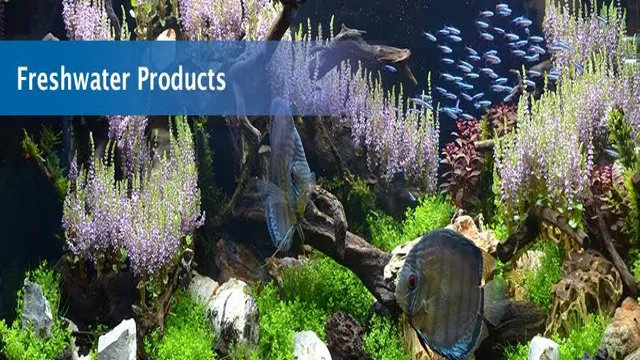 How to Detoxify Aquarium: A Complete Guide to Safe and Effective Fish Tank Cleaning