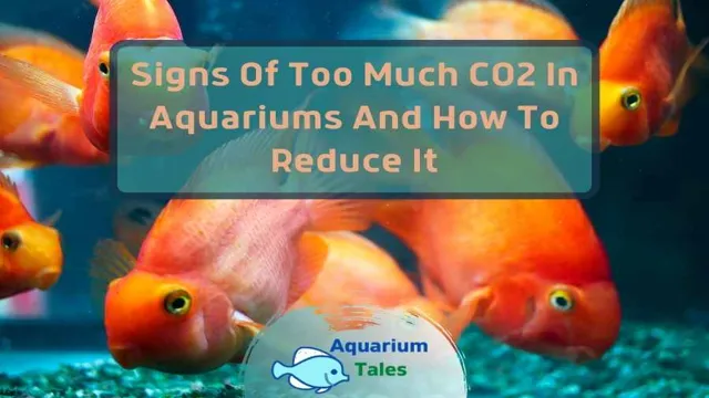 how to diagnose aquarium co2 deficiency