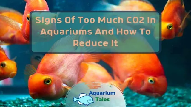 How to Diagnose Aquarium CO2 Deficiency: Tips and Tricks for Identifying Low CO2 Levels in Your Aquarium