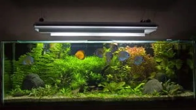 how to dial in light duration planted aquarium