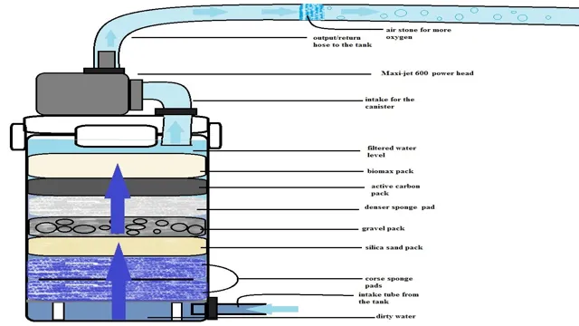 How to Diffuse Aquarium Filter Output: Tips for Creating a Calm and Safe Environment for Your Fish