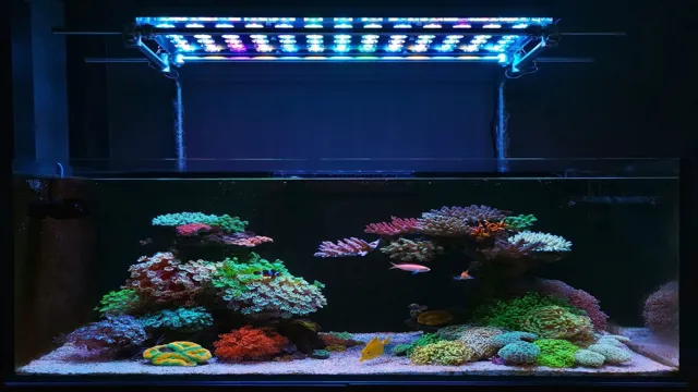 how to dim aquarium bright led lights