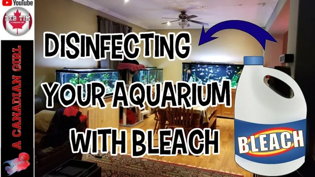 how to disinfect an aquarium with bleach