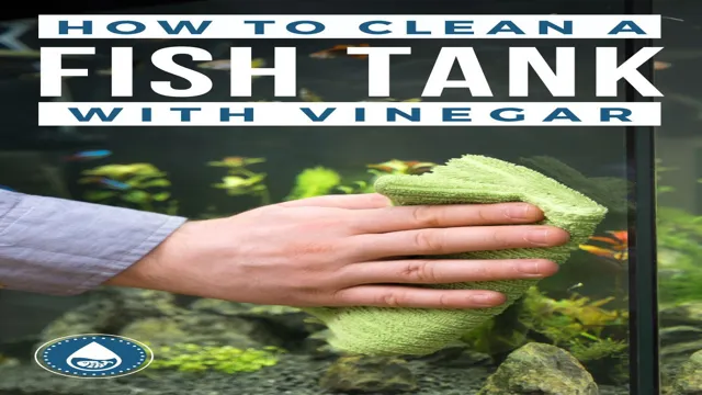 how to disinfect an aquarium with vinegar