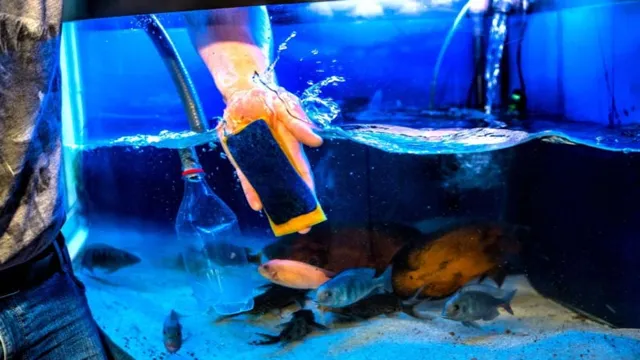 how to disinfect aquarium without emptying it