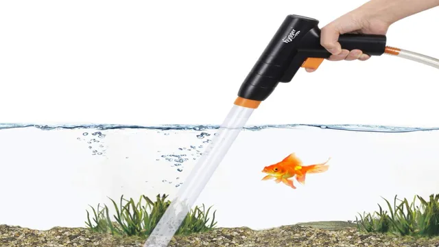 How to Disinfect Cleaning Hose and Vacuum for Aquarium to Ensure Clean and Healthy Water