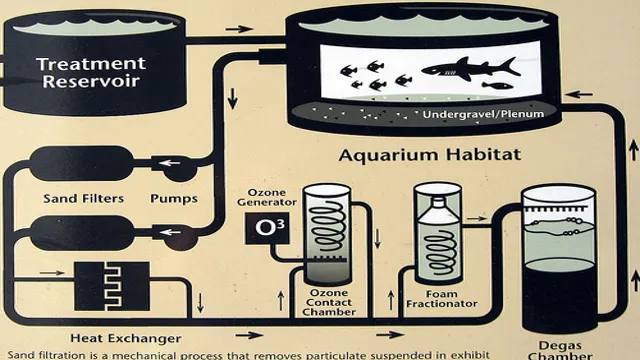 How to Disperse Filter Flow in Aquarium: Tips and Tricks