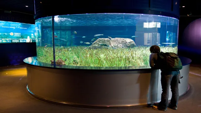 how to dispose of a large aquarium
