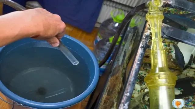 how to dispose of aquarium