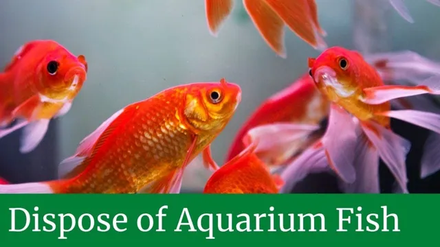 how to dispose of aquarium fish