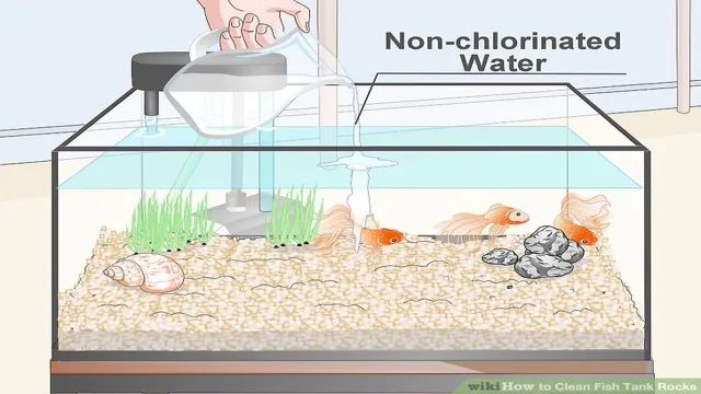 How to Dispose of Aquarium Rocks: A Step-by-Step Guide for Easy and Safe Removal