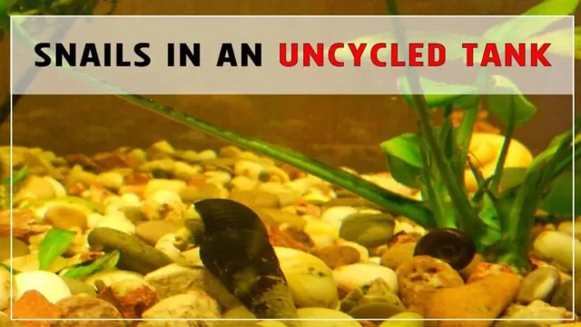 How to Dispose of Aquarium Snails: Effective Methods and Tips for Removal