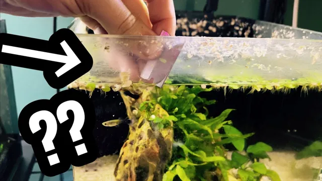 how to dispose of glass aquarium
