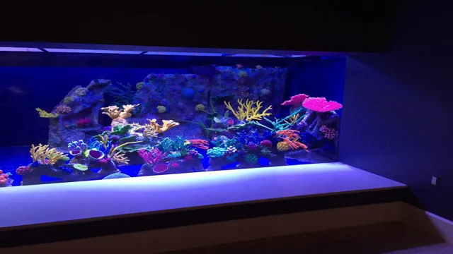 how to dive 5000 gallon aquarium