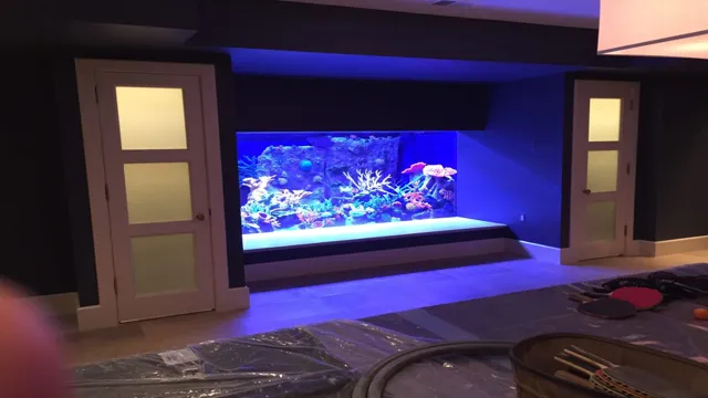 How to Dive Safely in a 5000 Gallon Aquarium: Tips and Techniques