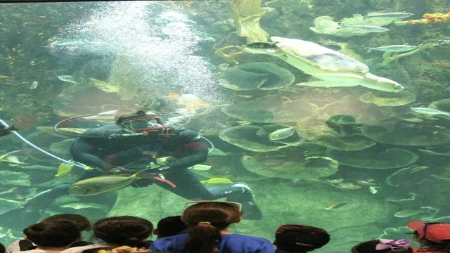 how to dive moody aquarium