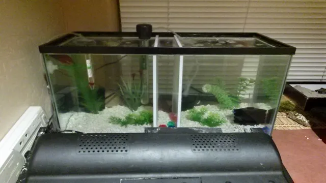 how to divide aquarium tank